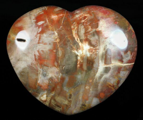 Colorful, Polished Petrified Wood Heart - Triassic #58539